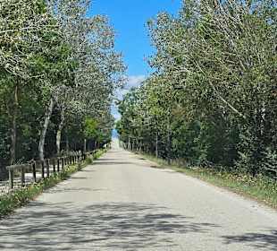 Zufahrtsweg sehr lang