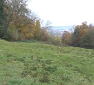 Schaukel auf den Knaupwiesen