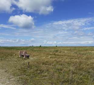 Strand Fehmarn