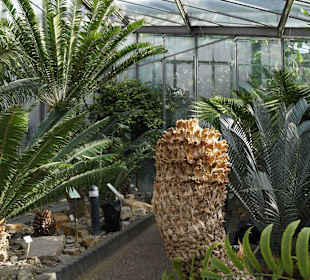 Anlage Planten un Blomen