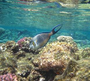 Da hab ich mich gleich in einen Doktor verwandelt