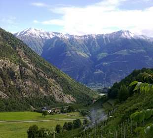 Blick vom Martelltal Richtung Goldrain