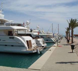 W porcie abu tag marina