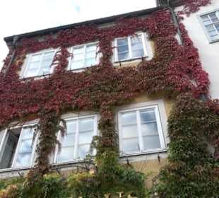 Rathaus