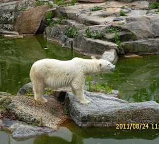 Besuch im Berliner Zoo