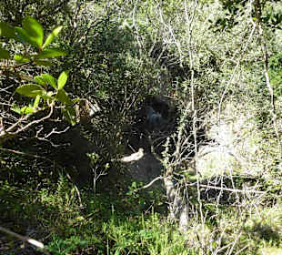 Aussichtspunkt Knysna