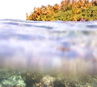 Insel-Wasser-Unterwasser