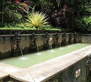 Badebereich mit Frischwasserquellen!