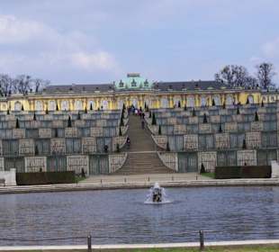 Schloss Sanssouci