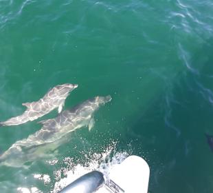 Catamaran Cruise