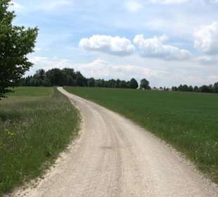 Klimaweg Sonnenalb