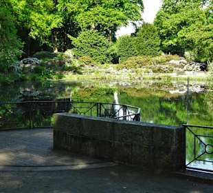 Hauptblüte im Rhododendronpark Bremen