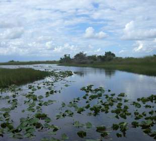Everglades Airboat Tour