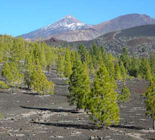 Teide