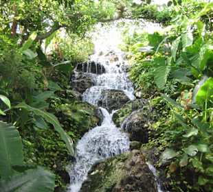 Wasserfall