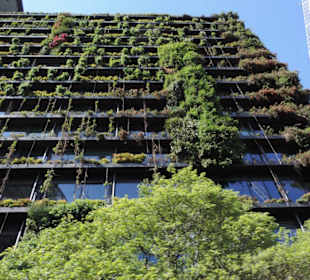 Mit dem Hop-on hop-off Bus in Sydney unterwegs