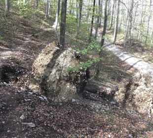 Wanderweg Hochgehkämpft