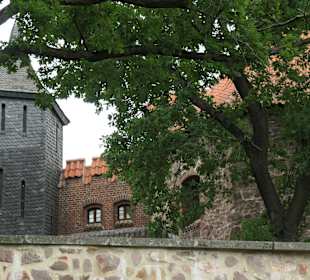 Lukasklause, Sitz des Otto-von-Guericke-Museums