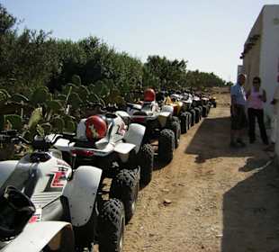 Quads