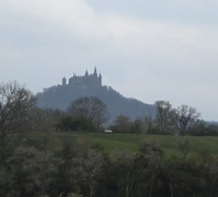 Lärchenwäldle