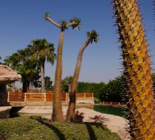 Crocoparc