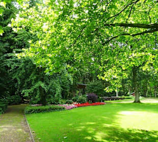 Hochsommer im Kurpark Bruchhausen-Vilsen