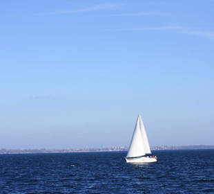Segelschiff auf der Flensburger Förde