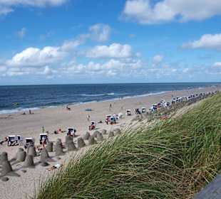 Sylt