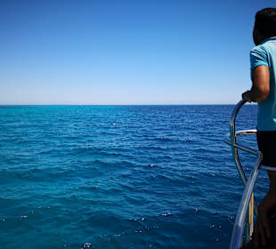 Schnorcheln Sahl Hasheesh