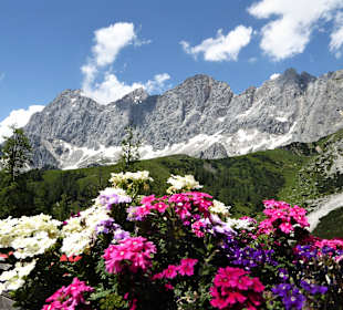 Wandern Ramsau am Dachstein
