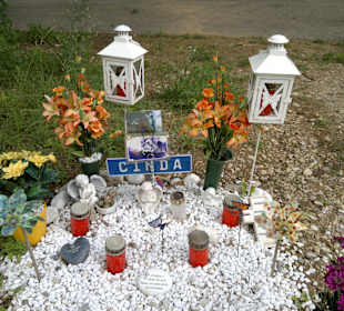 Wenn der Hund nicht an der Leine ist