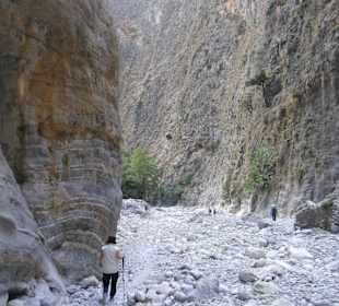 Und immer weiter im Flussbett