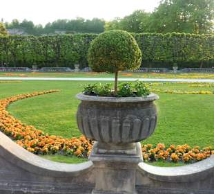 Im Mirabellgarten