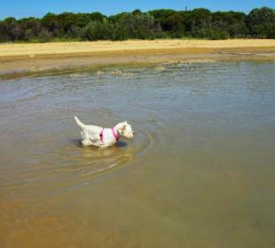 Bei den Buchten am Leuchtturm