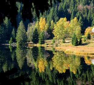 Herbstliches Stimmungsbild