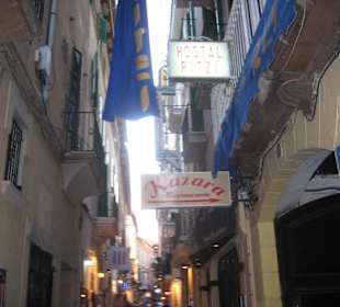 Palma