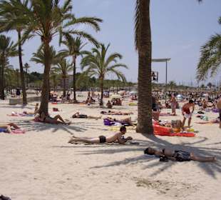 Palmenstrand in El Arenal