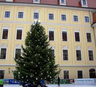 Mit tollen Christbaum mittig