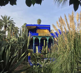 Yves s. Laurent Garden 