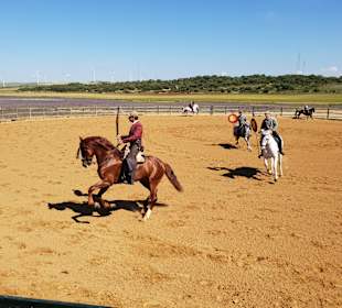 A Campo Abierte