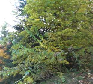 Geschichtslehrpfad Streichen