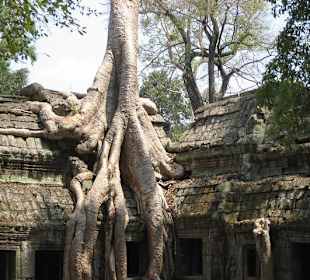 Ta Prohm