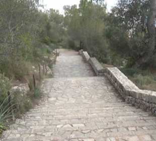 Treppe zur Carrer de Bellver