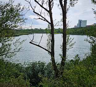 Wienerbergsee