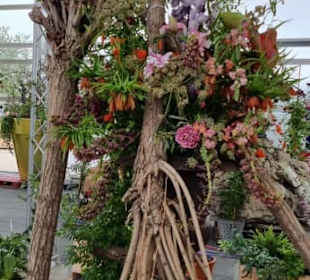 Überall Rosenstämme