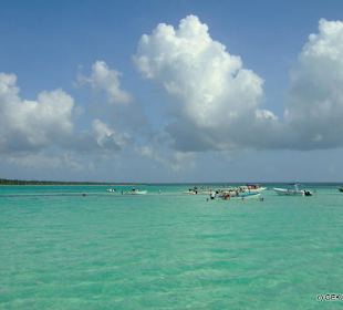 Saona