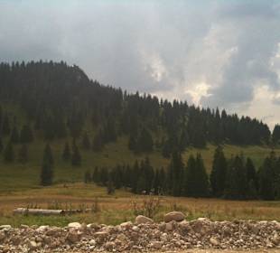 Parcul Natural Apuseni