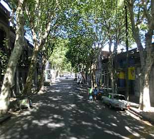 Viel grün in der Stadt