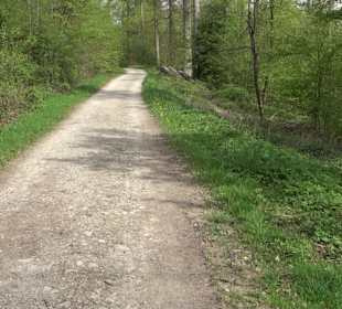 Walderlebnisweg Rottenburg