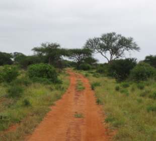 Tsavo West